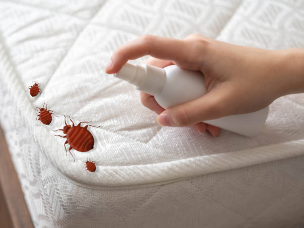 Best Pest Control for Hotels  in USA